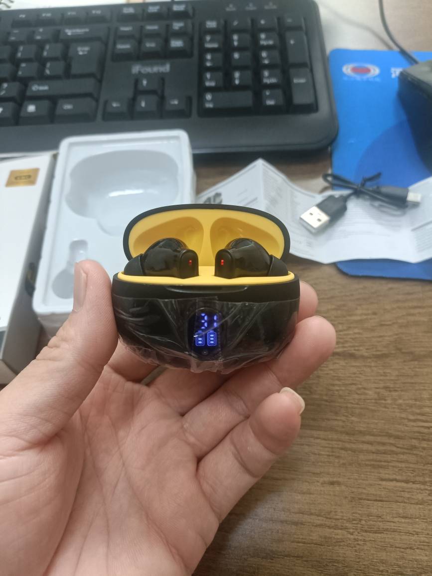 Écouteurs Bluetooth Sans Fil avec Boîtier Intelligent à Affichage LED