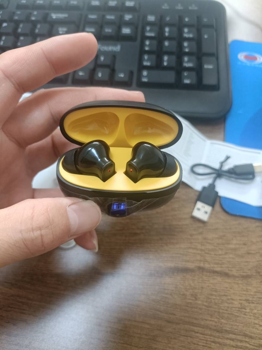 Écouteurs Bluetooth Sans Fil avec Boîtier Intelligent à Affichage LED